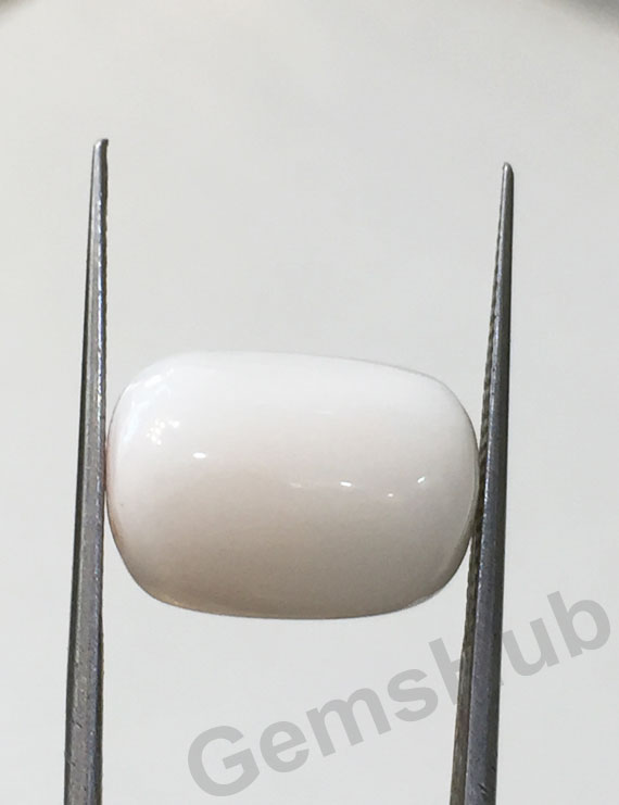 9.03 ct Natural Certified  White Coral/सफ़ेद मूंगा